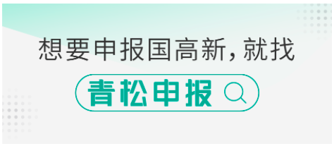 国高新企业